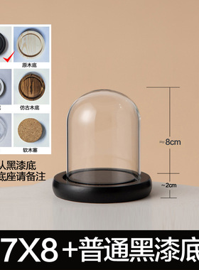 玻璃罩工艺品防尘罩永生装饰摆件