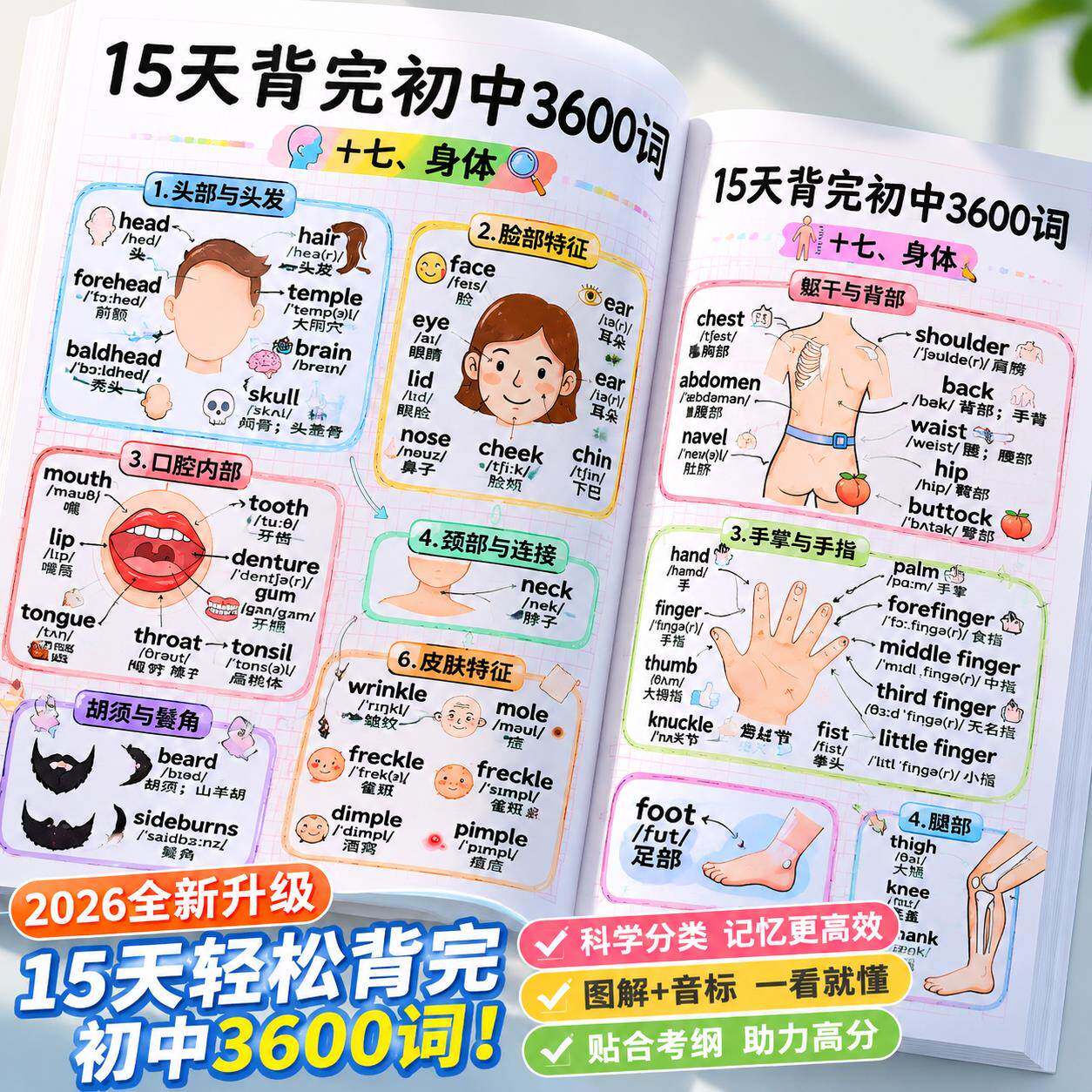 新款初中英语单字学习神器15天背完初中3600词科学记忆英语专用本