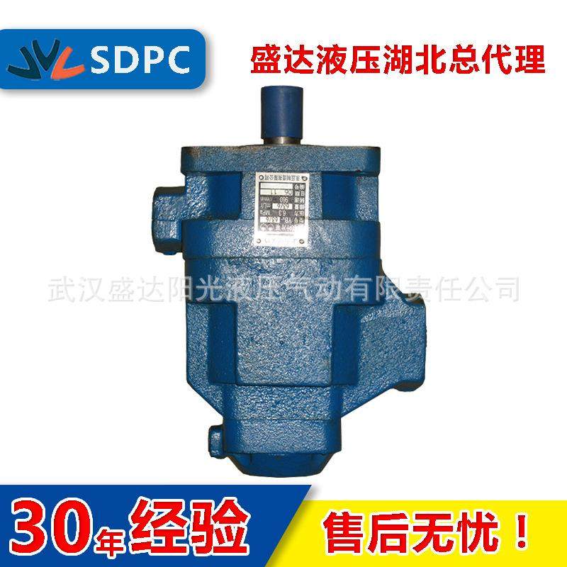 浙江 广东 双联液压油泵 YB1-100/2.5 YB1-100/4 叶片泵 质保一年,玩具/童车/益智/积木/模型,毛绒/玩偶/公仔/布艺类玩具,淘宝优惠券,粉丝福利购,淘宝优惠卷