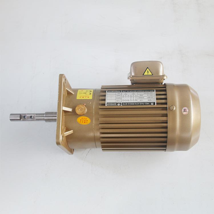 畜牧设备专用马达CV19-750W-5 小型减速电机 养殖场料线电机