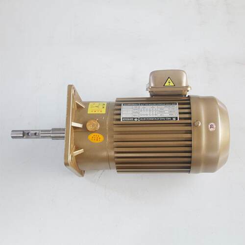 畜牧设备专用马达CV19-750W-5 小型减速电机 养殖场料线电机