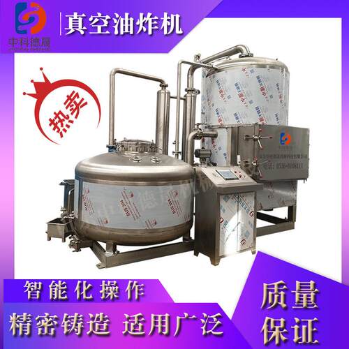 商用不锈钢低温真空油炸机自动果蔬酥脆爽口脆片油炸设备