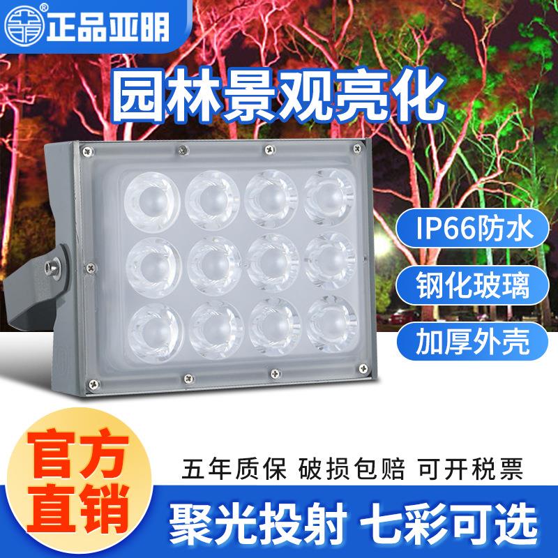 亚明led投光灯一束光户外聚光灯酒店别墅园林户外投射七彩庭院灯