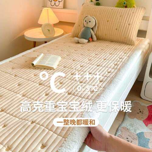 冬季宝宝绒牛奶珊瑚学生宿舍床垫家用宿舍单人薄款床褥软垫垫被
