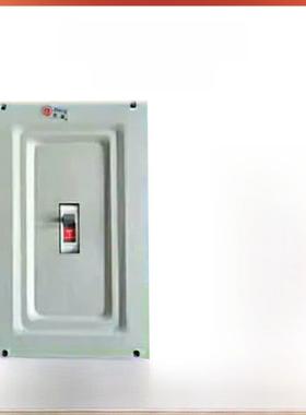 致业100A总制箱250A塑壳开关箱DZ20L布线箱 强电箱NM10铁箱DZ15LE