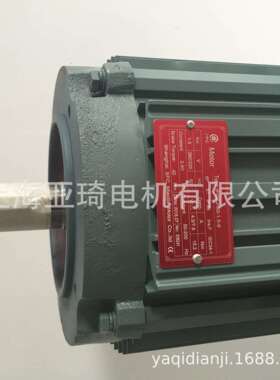 IFGEJ-50-0.55-2刹车电机 Motor