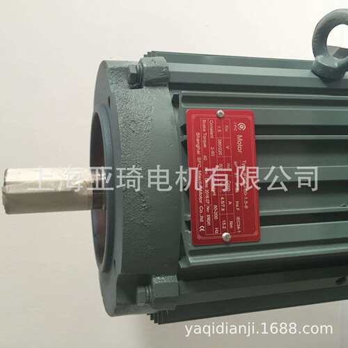 IFGEJ-50-0.55-2刹车电机 Motor