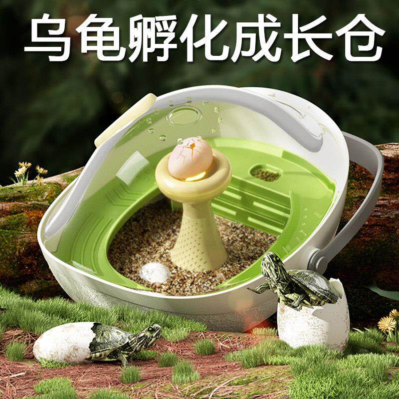 乌龟蛋可孵化成长仓活物爬台晒台专用乌龟缸宠物饲养箱小龟别墅盒