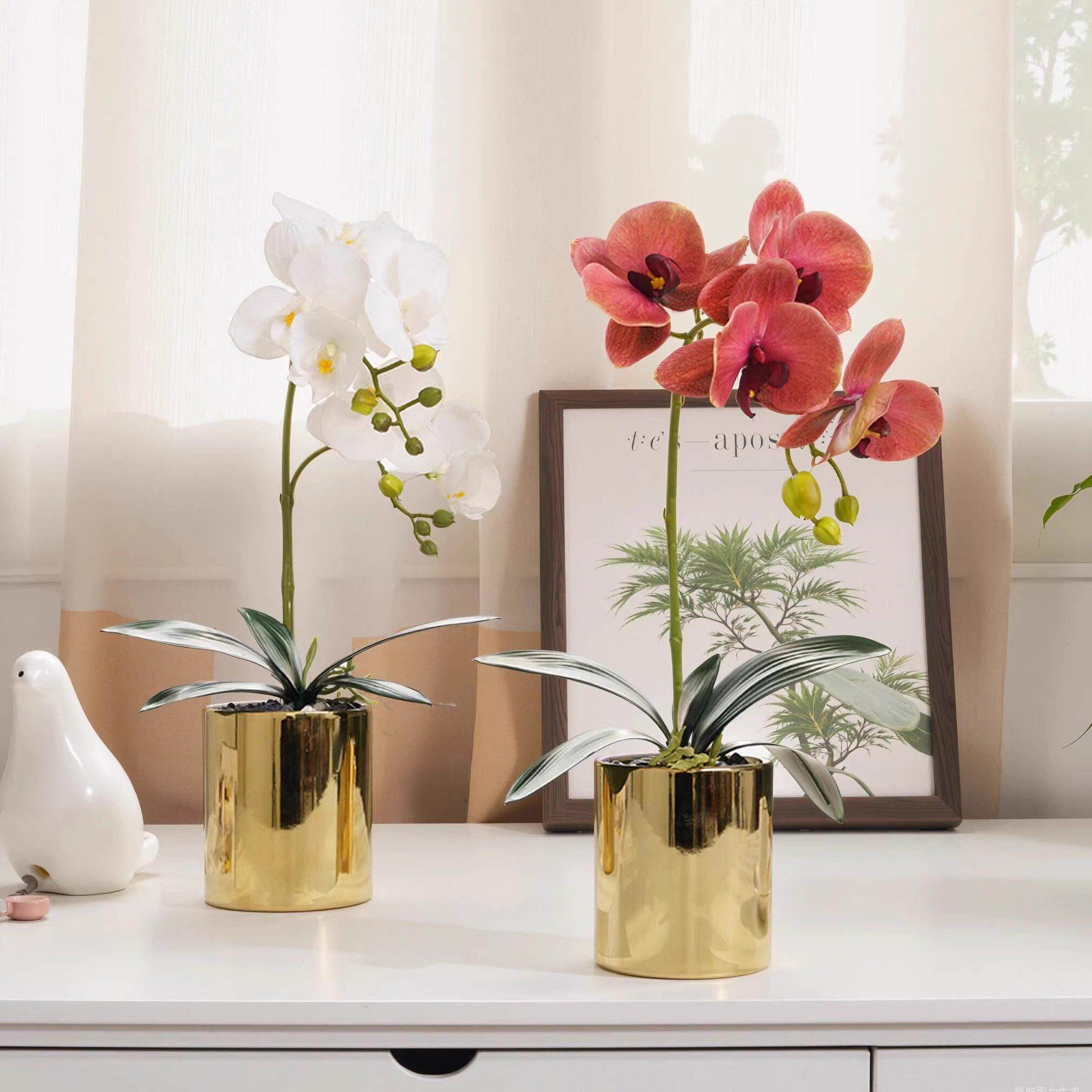 轻奢手感蝴蝶兰仿真花摆件假花装饰花客厅摆设茶几花艺餐桌花摆花