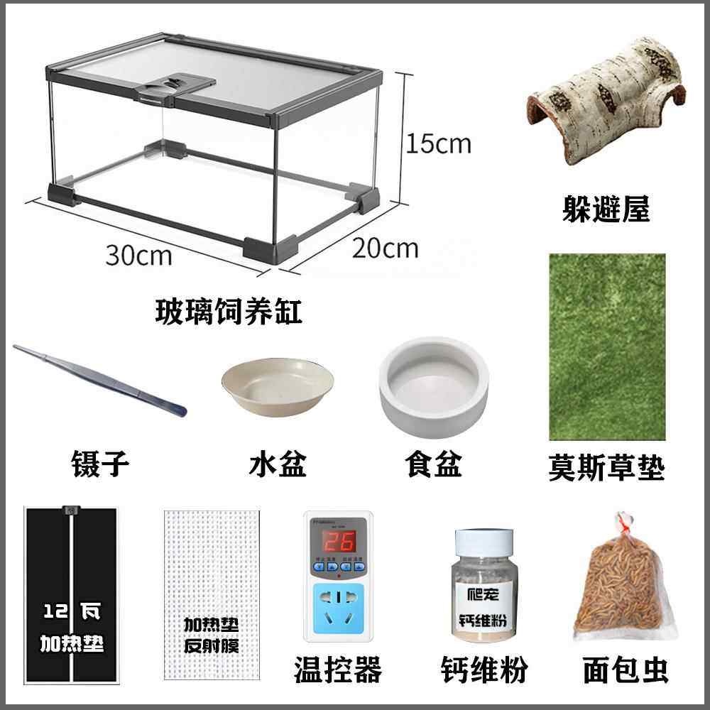 宏特维豹纹守宫饲养套餐壁虎蜥蜴宠物爬宠玻璃缸造景饲养箱笼子加温设
