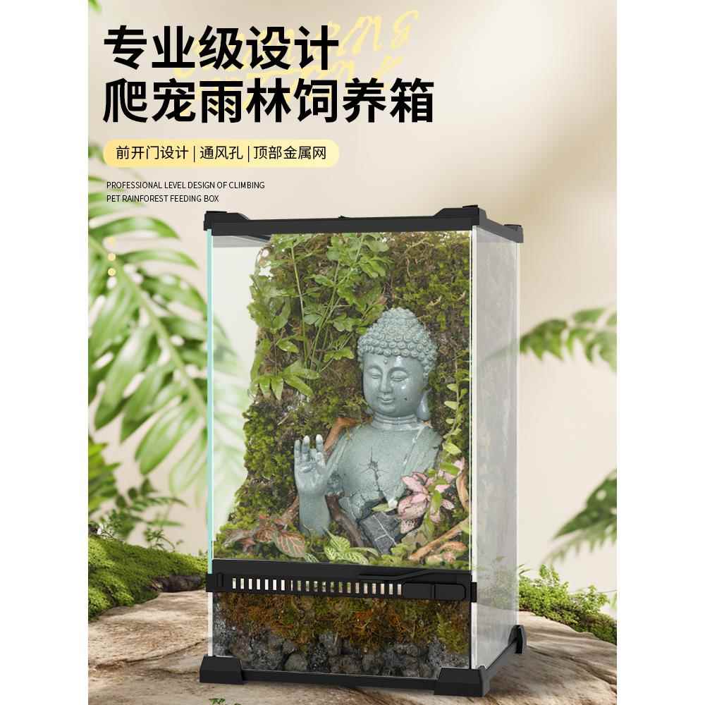 爬宠饲养箱生态雨林造景玻璃缸蜥蜴守宫角蛙树蛙寄居蟹蜘蛛饲养盒
