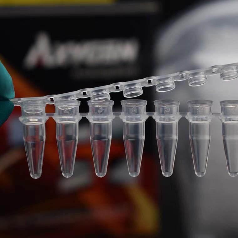爱思进Axygen0.2ml八排管PCR-02P08-C八连排联管8连管
