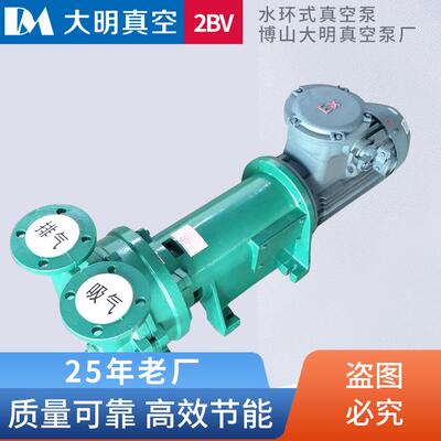 淄博厂家供应2BV6110全不锈钢防爆水环真空泵全04不锈钢真空泵