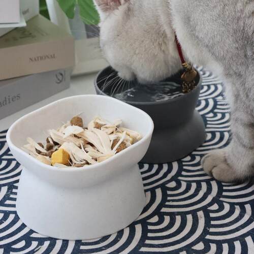 跨境斜口猫碗大容量高脚护颈狗碗猫咪饮水宠物双面可用宠物碗