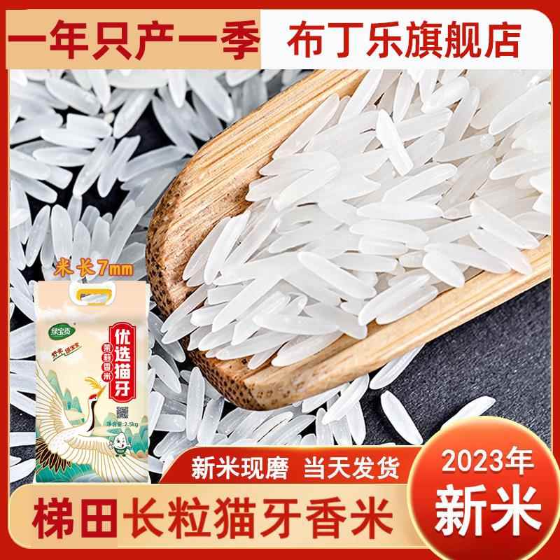 2024年新米茉莉香猫牙米特级正宗梯田大米油粘米长粒香米旗舰店