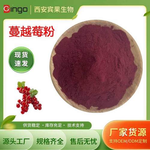 蔓越莓汁粉 固体饮料蔓越莓果汁粉 100g/袋 现货 量大价优