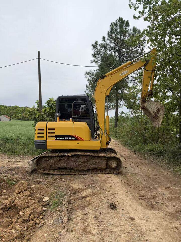 4月12日金华雷沃65挖掘机一台网络拍卖公告