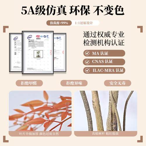 仿真绿植端奢红色南天竹高假植盆物装饰室内客厅仿轻生落F986M6M6