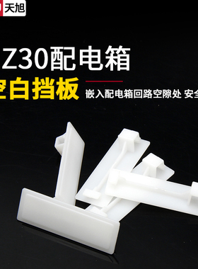 PZ30配电箱空白挡板填充件C45挡片强电箱白板1P塑料板回路箱DZ47