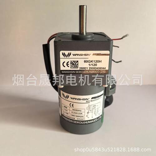 精工湖南股份有限公司微型减速电机60YS06WGV11/60GK120H110V