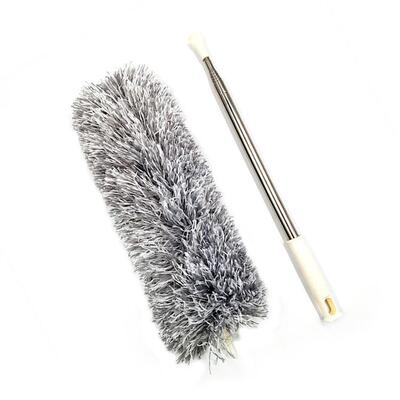 Extra-long extendable dusting brush for cleaning and removin