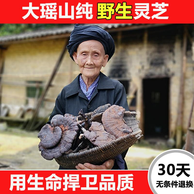 广西大瑶山野生灵芝整朵林芝紫灵芝黑灵芝特产大灵芝 可切片打粉