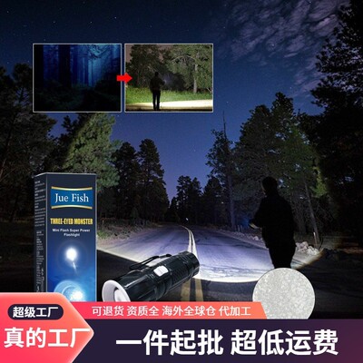 Jue-Fish Mini Flashlight - High-intensity, Multi-purpose, Lo