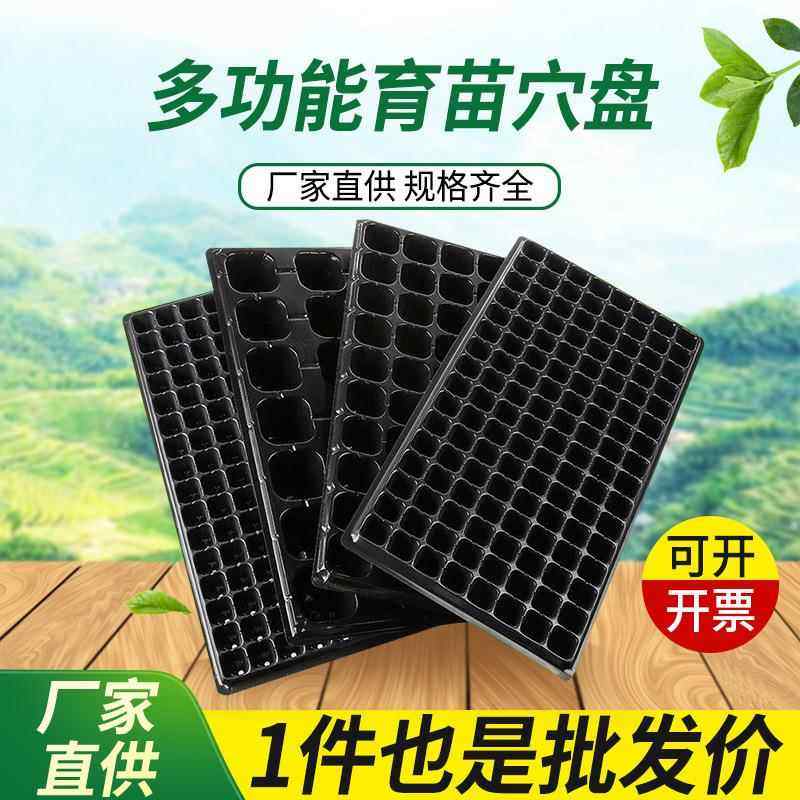 园艺育苗盘平盘塑料育苗盒无孔林木穴盘加厚简易育苗容器
