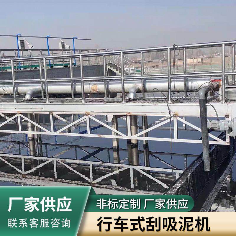 行车式刮吸泥机非金属刮泥机桁车式提耙刮泥机链条式刮吸江苏