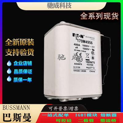 巴斯曼170M4955 170M4956 170M4957 原装进口优价供应 方体熔断器