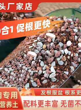 多肉植物专用颗粒土养花通用型营养土植物花土肥料纯颗粒土铺面石