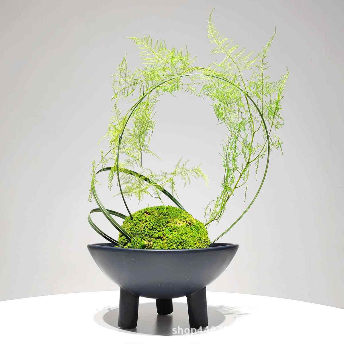 新中式仿板真绿植盆景样房客茶厅售楼处玄室关苔藓植物91073文竹