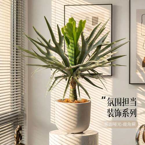 工厂仿真鹿角蕨盆栽大型人造假树室内摆件热带仿真绿植盆景