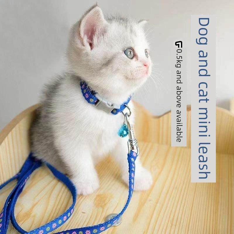 猫绳猫绳超长家用拴猫绳引绳猫咪专用防挣脱可调节小奶猫茶杯犬幼,宠物/宠物食品及用品,猫牵引绳,淘宝优惠券,粉丝福利购,淘宝优惠卷