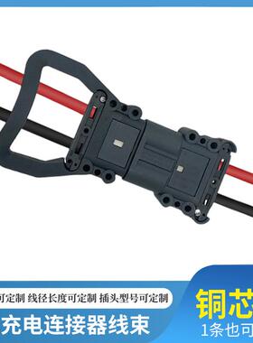 REMA80A160A320林德杭叉合力龙工电动叉车充电公母插头连接器线束