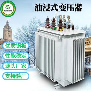 10kv变压器S11油浸式 变压器全铜户外防雨400KVA三相变压器厂家供