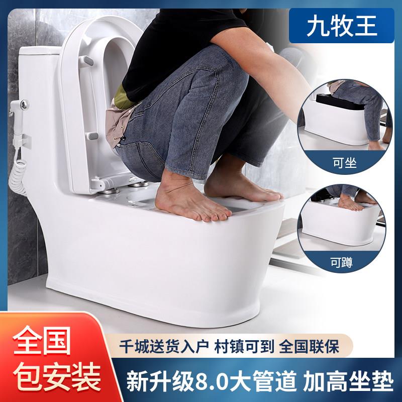 蹲坐两用马桶改蹲便器一体式可蹲可坐座便器双用虹吸式二合一台式