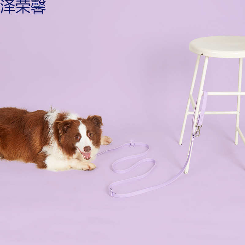 现货严选新款2.5米PVC斜跨栓腰多功能跑步狗狗牵引绳宠物绳狗