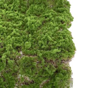 仿真绿植青苔藓皮青苔坪橱窗软装苔藓绿地墙面植物墙装饰人造草坪