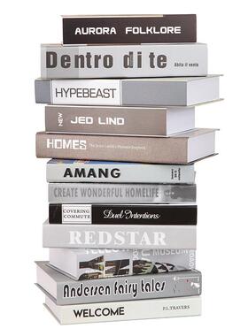 冷色系黑白灰假书彷真书样板房摆场道具模型书套电视柜装饰书摆件