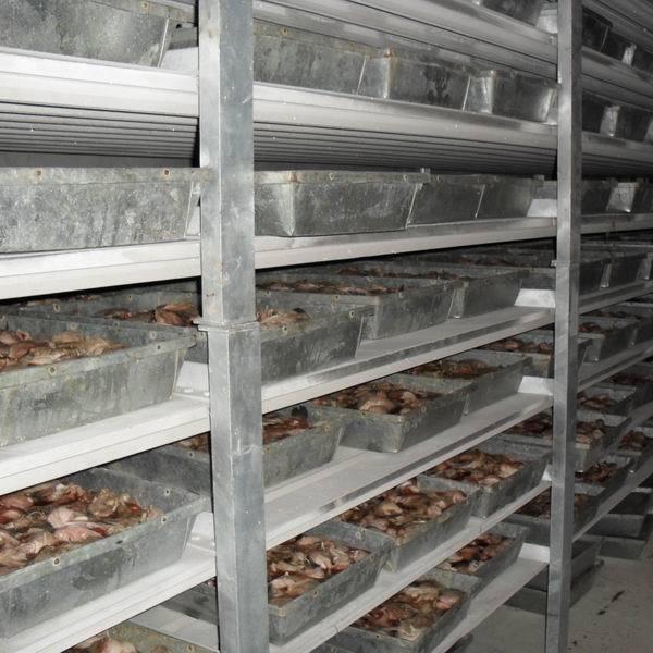 浙江供应冷库节能环保高效低噪食品药品一体式冷冻库保鲜库速冻库