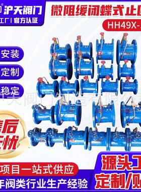 微阻缓闭蝶式止回阀HH49X-10Q球墨铸铁单向重锤止回阀法兰止回阀