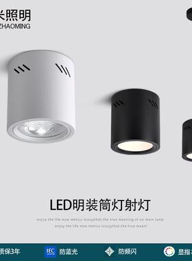 led明装筒灯COB吸顶射灯大圆筒吊线装5寸6寸8寸办公商场工程筒灯