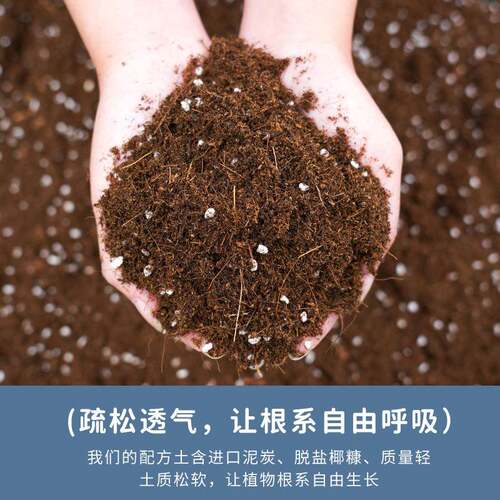 新款直销营养土植物通用型疏松透气家用养花种菜种植土有机草炭泥