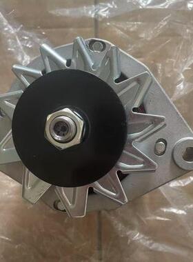 BUKH卜克DV48RME发电机A13N148发电机A13N149发电机