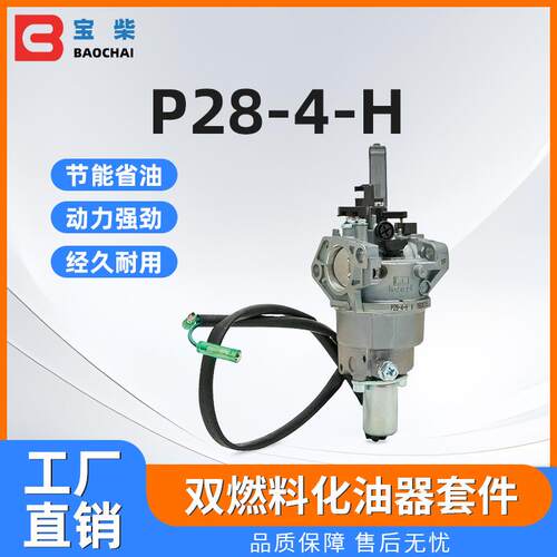 P28-4-H 新型LPG双燃料化油器 188F 5KW