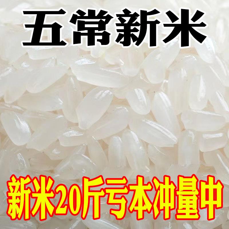 【产地直发】正宗五常稻花香米特价20斤五常大米10斤五常香米新米