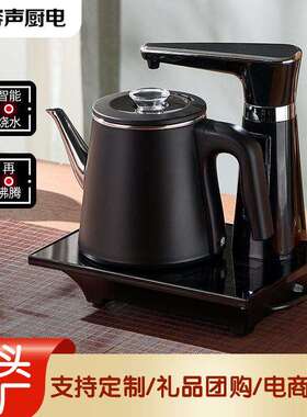 Ronshen/容声 RS-201容声全自动上水壶家用电热烧水抽水电磁炉茶