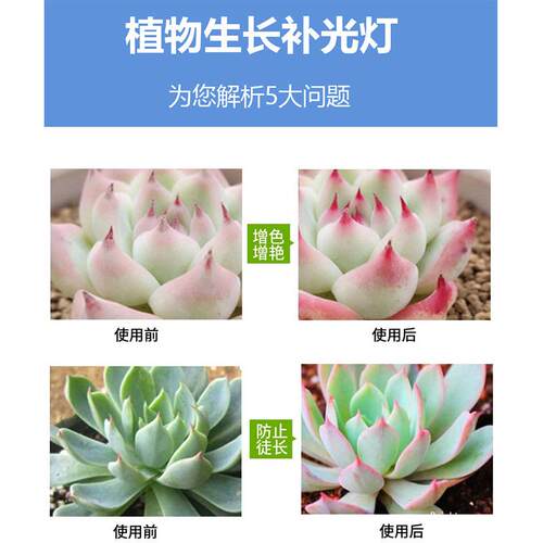 厂家全光谱LED植物生长灯LED植物补光灯PAR30植物灯