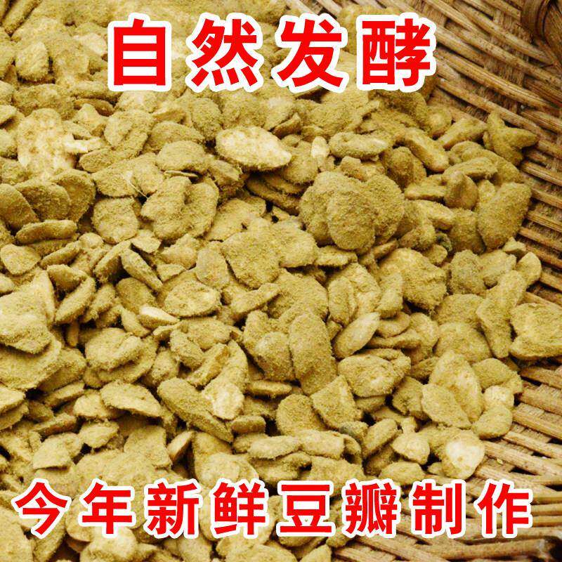 四川霉豆瓣手工自制豆瓣酱原料发霉胡豆瓣自然发酵蚕豆霉豆瓣